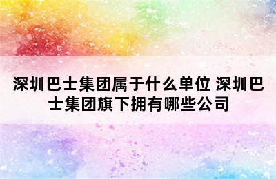 深圳巴士集团属于什么单位 深圳巴士集团旗下拥有哪些公司